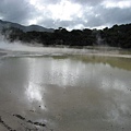 31.07.2007 Rotorua 36 Wai-O-Tapu.JPG