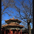 Lama Temple (7).jpg