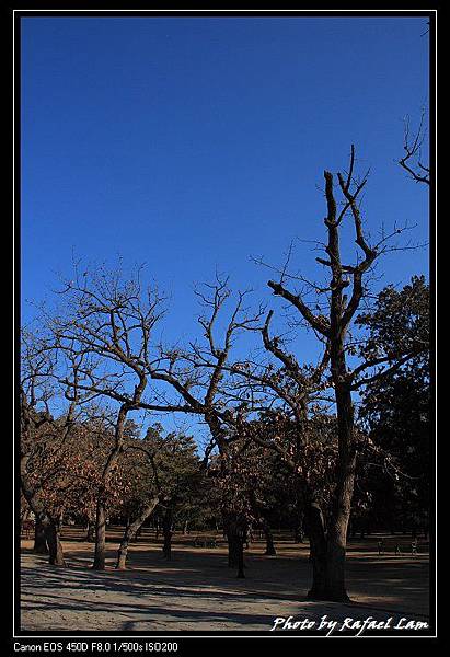 Ming Tombs (9).jpg