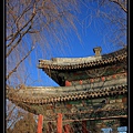 Summer Palace (1).jpg