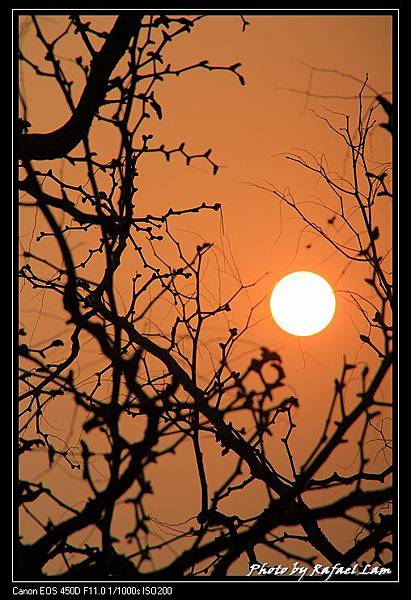 Forbidden City (9).jpg