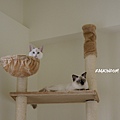 DSC07044.jpg