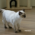 DSC07048.jpg