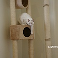 DSC07062.jpg