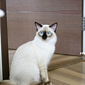 DSC07122.jpg