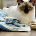DSC07178.jpg