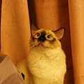 DSC07326.jpg