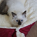 DSC09427.jpg
