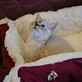 DSC09431.jpg