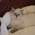 DSC09506.jpg