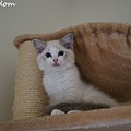 DSC09512.jpg