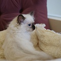 DSC09521.jpg
