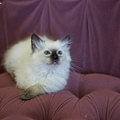 DSC09557.jpg