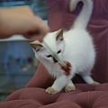 DSC09574.jpg