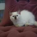 DSC09582.jpg