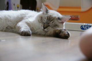 DSC01163.jpg