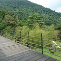 DSC06627.jpg