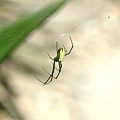 DSC06630.jpg