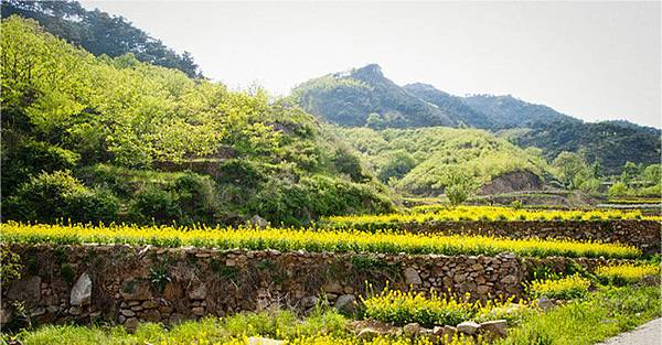 山東濟南