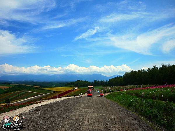 2015日本北海道之旅｜格蘭登飯店早餐&哈密瓜吃到飽&北海道