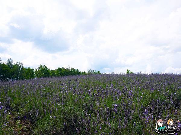 2015日本北海道之旅｜格蘭登飯店早餐&哈密瓜吃到飽&北海道