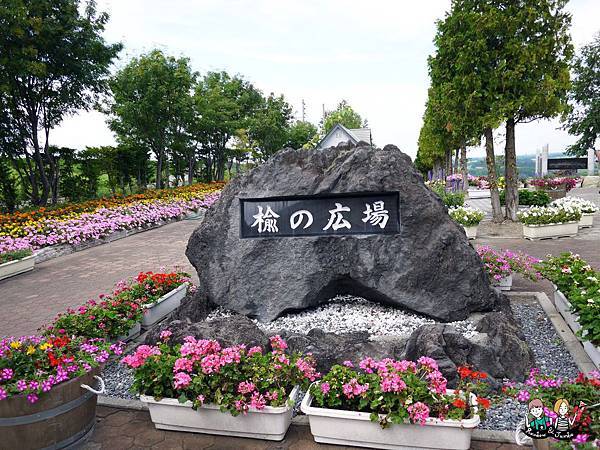 2015日本北海道之旅｜手作薰衣草枕頭flower land