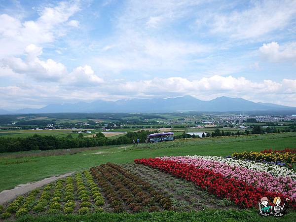 2015日本北海道之旅｜手作薰衣草枕頭flower land