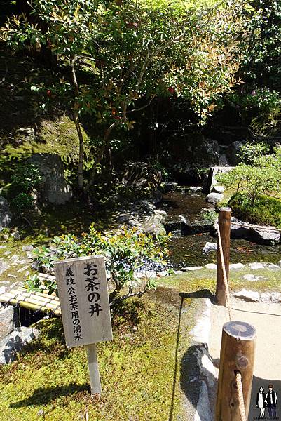 2016 Jumbo日本京阪奈自由行｜京都銀閣寺禪意滿滿｜日