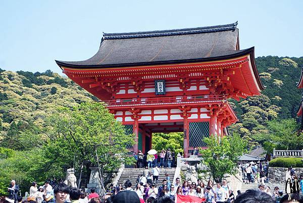 2016 Jumbo日本京阪奈自由行-清水寺與地主神社(上)