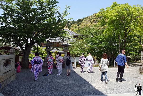 2016 Jumbo日本京阪奈自由行-清水寺與地主神社(上)