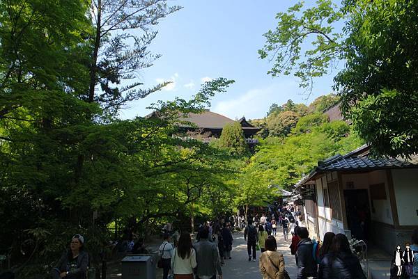 2016 Jumbo日本京阪奈自由行-清水寺必訪音羽之瀑、忠