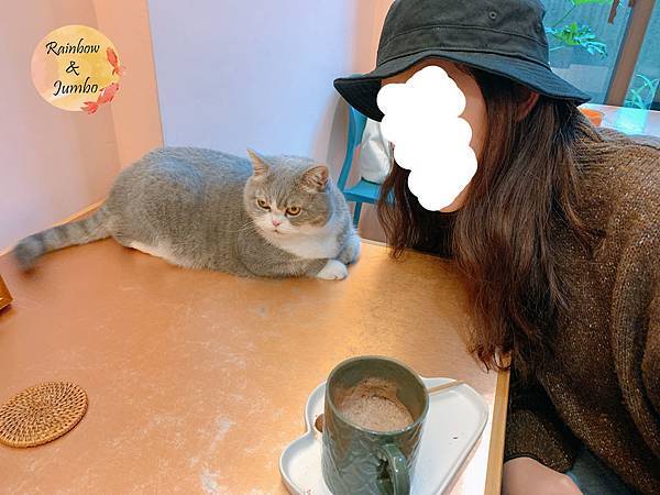 【宜蘭羅東｜羅東景點】貓的生活提案咖啡廳Cats' Day，