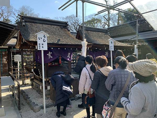 【日本京阪行程】京都｜下鴨神社(賀茂御祖神社)新年參拜、水籤