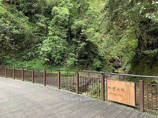 【桃園復興｜桃園景點】拉拉山巨木區｜拉拉山國家森林遊樂區必訪