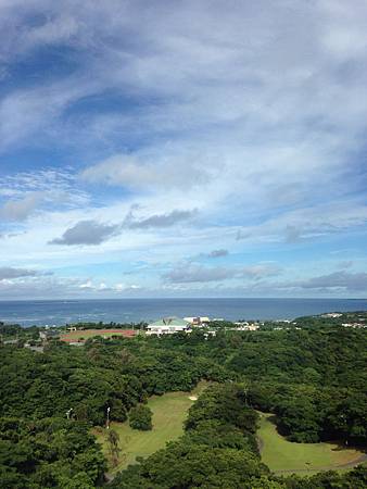 IMG_9252 IMG_9252