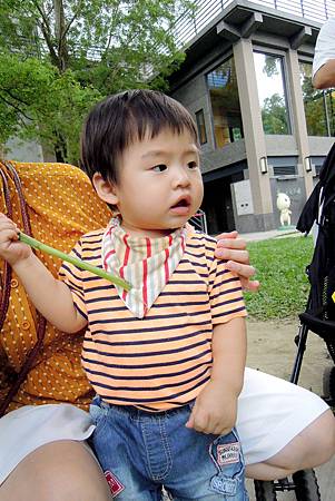 24095009017_6c4de87ff6_k.jpg