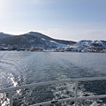 IMG_4381.jpg