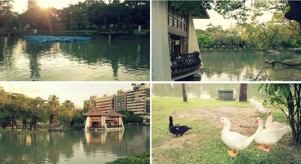 台中公園.jpg