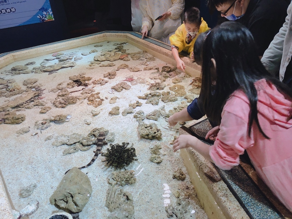 触摸池