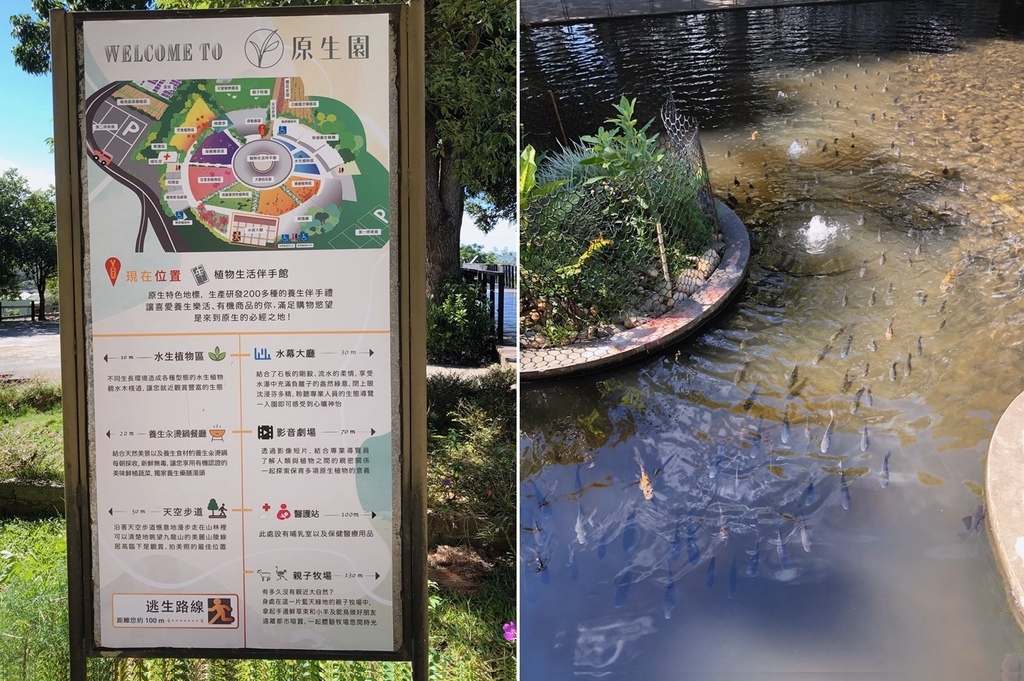 原生植物園地圖,餵魚.jpg