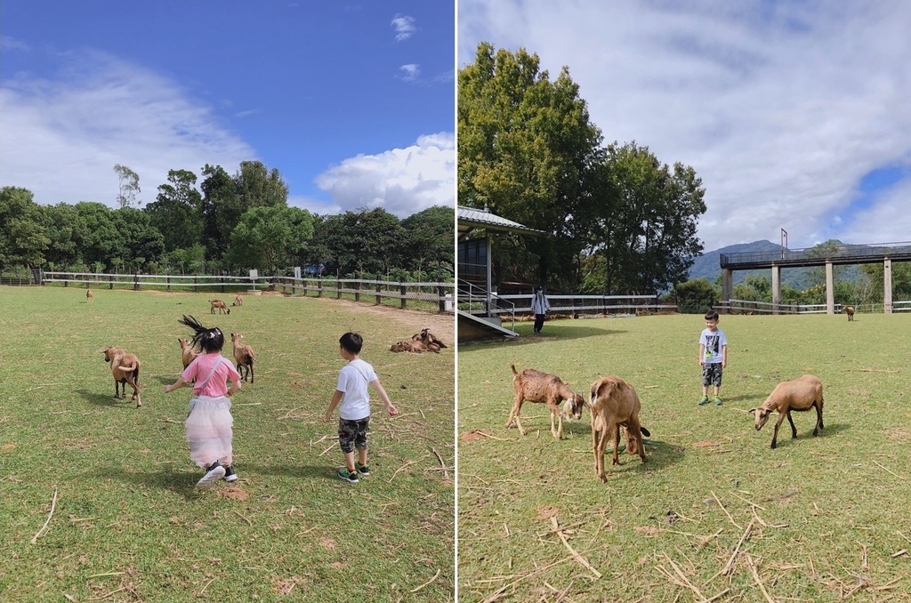 動物園.jpg