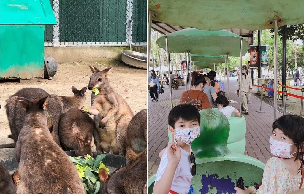 頑皮世界,袋鼠,遊園車.jpg