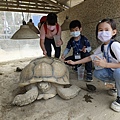 LINE_ALBUM_112031112夜宿動物園_230313_96.jpg