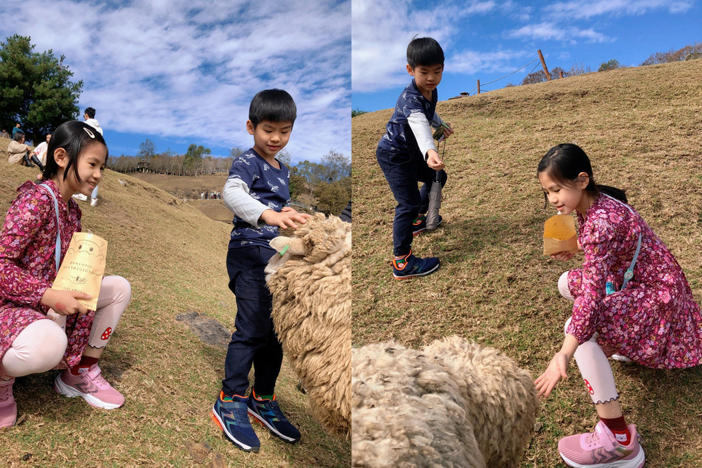 新年買新鞋『Arriba 艾樂跑』運動鞋、登山鞋、休閒鞋買起