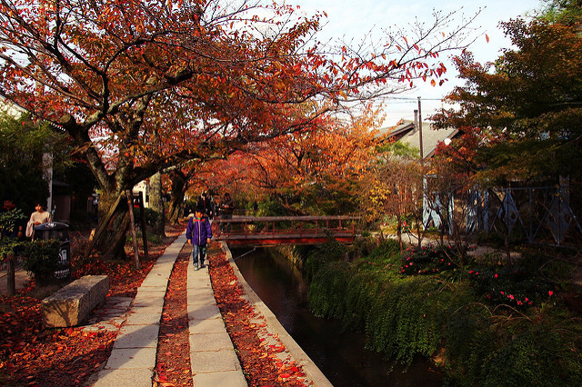 熊野若王子神社+哲學之道