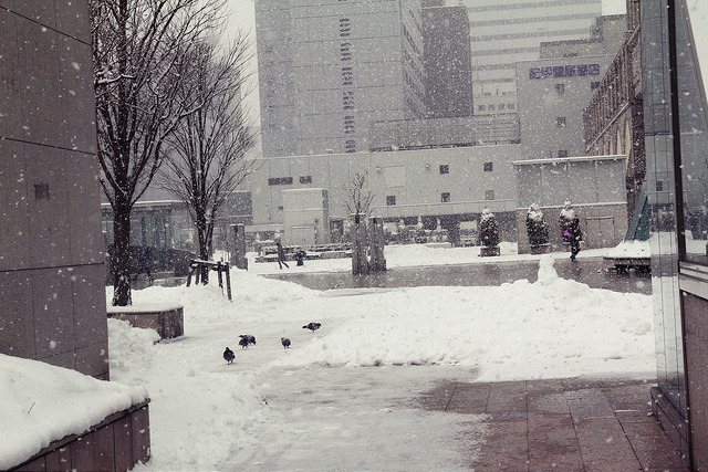 冬季札幌
