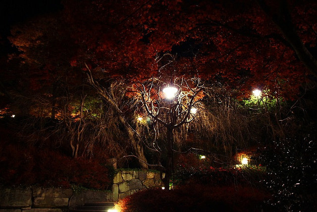 大阪勝尾寺