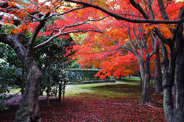 東福寺