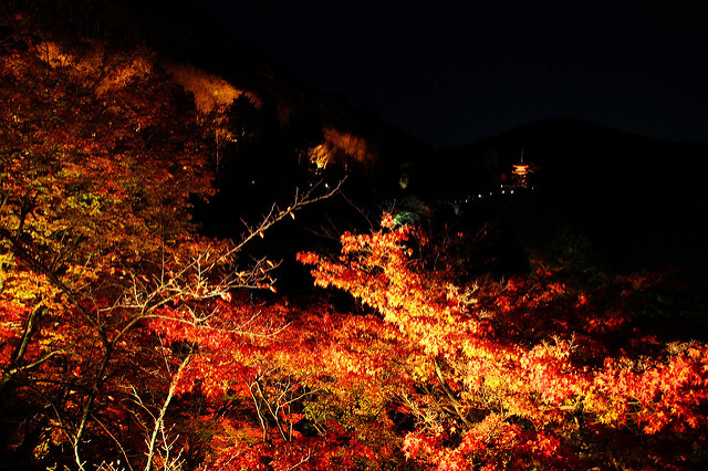 清水寺夜間參拜