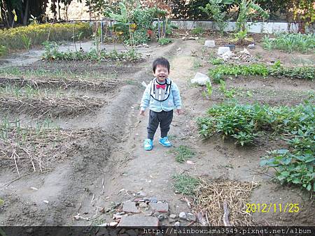 宇龍晨間戶外活動(社區菜園) 006